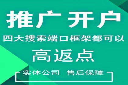 案例对比：关键词竞价排名的优劣