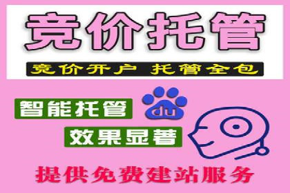 案例分享：百度竞价排名助力企业抢占市场份额
